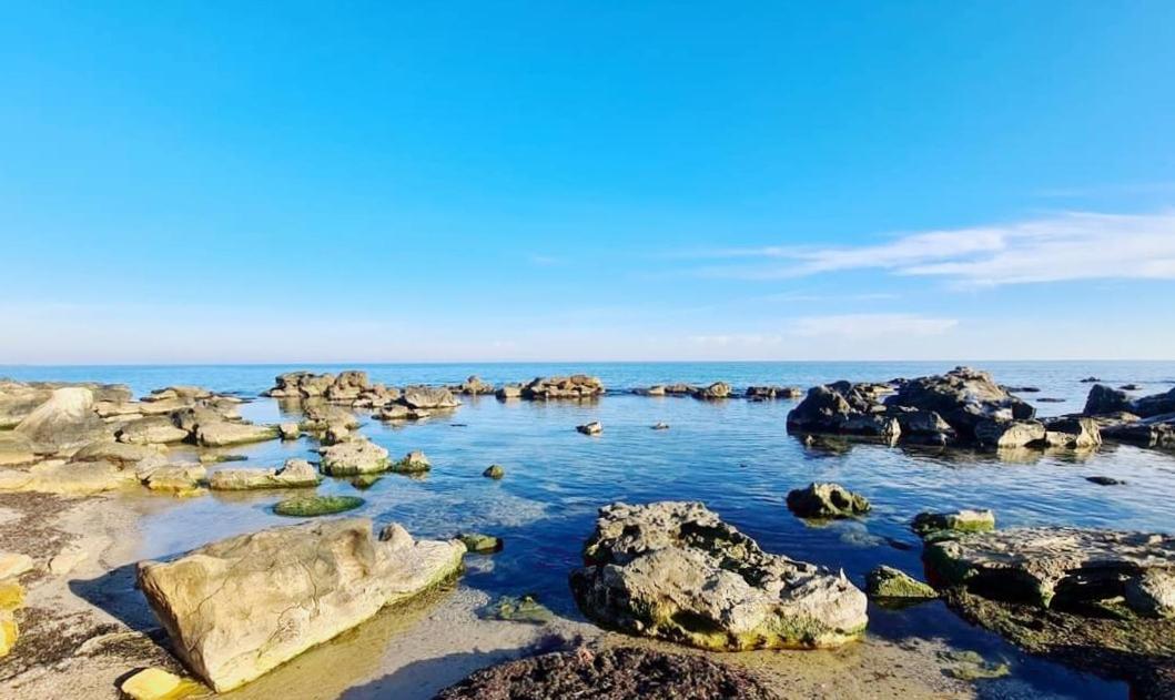 Four Seasons Apartment - Oasis Beach Resort Bliznatsi 外观 照片