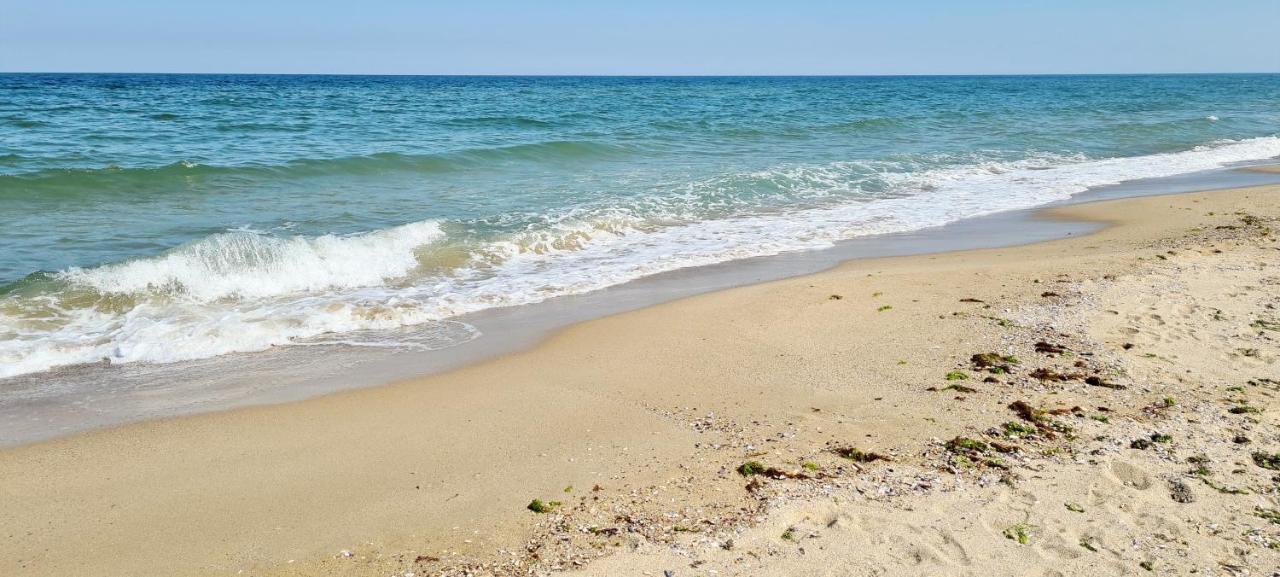 Four Seasons Apartment - Oasis Beach Resort Bliznatsi 外观 照片